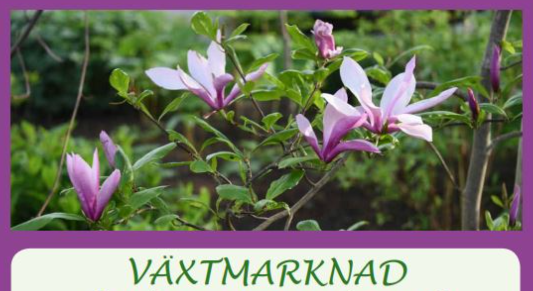VÄXTMARKNAD