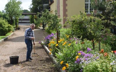 Svenmanska parken juli 2023